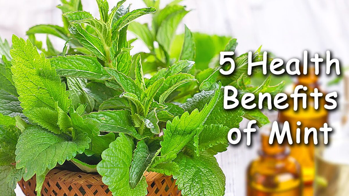 Health And Wellness Conveniences of Pudina/Mint Leaves You Should Know ...